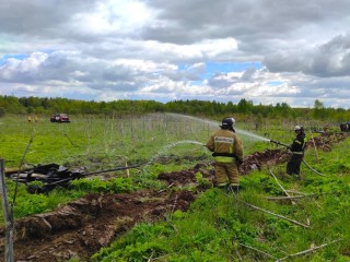 Талдомские огнеборцы отработали тушение лесных и торфяных пожаров