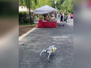 На фестивале «Роботрон» в Парке Мира дети выгуливали робопса