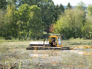 В поселке Деденево очищают пруд