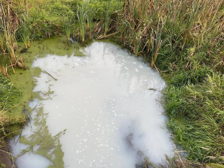Неочищенные сточные воды сбрасывают в реку в Одинцовском округе