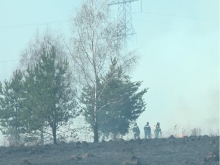 Огонь под запретом: в Люберцах введен особый противопожарный решим