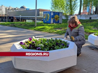 Рассаду цветов высадили на клумбах набережной в Щелкове