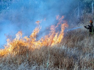 С 4 мая на территории Одинцовского округа вводится особый противопожарный режим