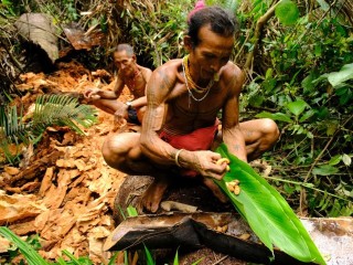 Гарнир из личинок и ядовитые стрелы: путешественник рассказал о жизни с аборигенами в Индонезии