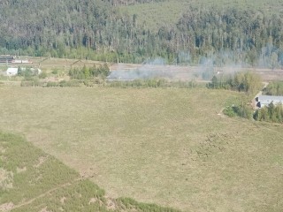 В Солнечногорске из-за человеческой халатности чуть не сгорел лес