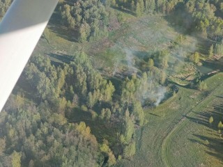 Пожар потушили в Горенском лесопарке