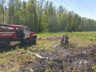 Неосторожное обращение с огнем стало причиной пожара в лесу у села Власово
