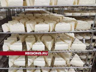 Чеховская сыроварня изготавливает 20 видов французских сыров с белой плесенью