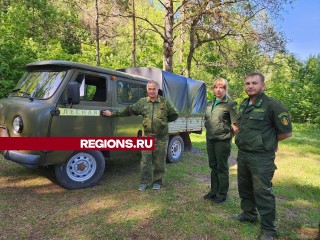 Лесной патруль Большого Серпухова на выходных не выявил нарушителей пожарной безопасности