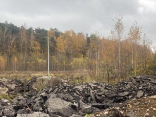 Дмитровское предприятие ответит перед судом за незаконное размещение отходов на участке в селе Озерецкое