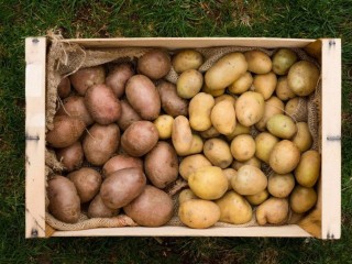 Еще одно хранилище для картофеля скоро появится рядом с деревней Николо-Кропотки