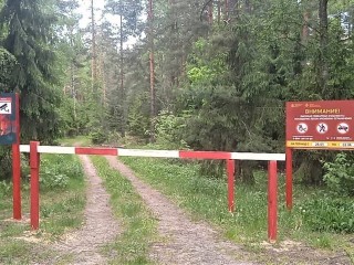 Ограничения на въезд транспорта и разведение костров в лесах Одинцовского округа продлили до 3 июня
