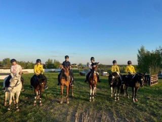 Химчане стали призерами областных соревнований по конному троеборью