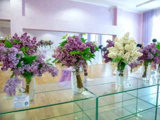 Уникальные сорта цветов, исторический бал и  мастер-классы: в Подольске проходит «Сиреневый фестиваль»