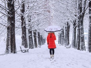 Дождь со снегом и ночные заморозки придут в Дмитров в ближайшие дни