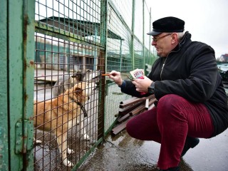 Химчанин передал помощь приюту для бездомных животных