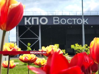 Две тысячи тюльпанов украшают территорию комплекса по переработке отходов «Восток»