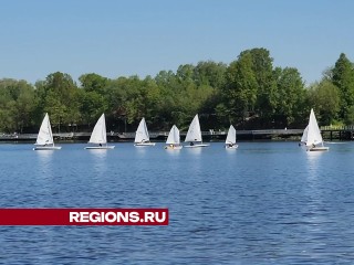 Традиционные гонки на парусных яхтах прошли на Котовском заливе