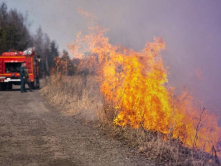 Жителям Рузы напомнили о действии противопожарного режима и безопасном отдыхе на природе