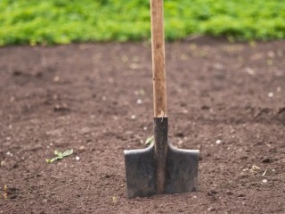 Лопаты в сторону: травматолог дала советы садоводам как не угробить спину за лето