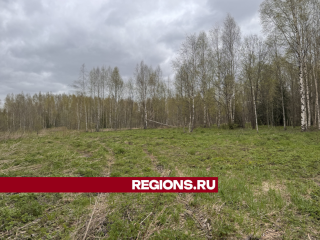 Поле в деревне Короськово продезинфицировали после массовой гибели скота