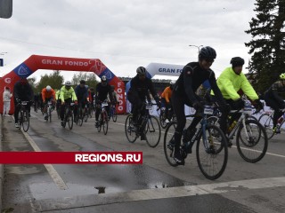 В масштабном велозаезде в Лотошино приняли участие более 400 спортсменов