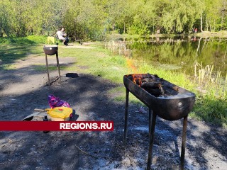 Зона отдыха у Змеиного озера в Подольске создана для приготовления шашлыков