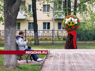 Луховицкий городской парк имени Воробьева вошел в число лидеров по посещаемости