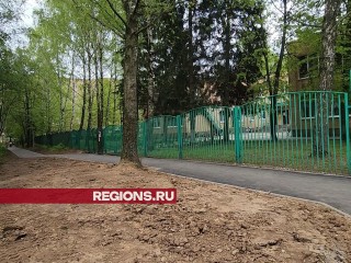 По просьбе жителей к детскому саду в Голицыне заасфальтировали «народную тропу»