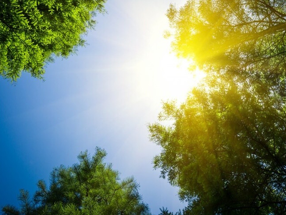 Какой будет погода в июле в Ленинском округе