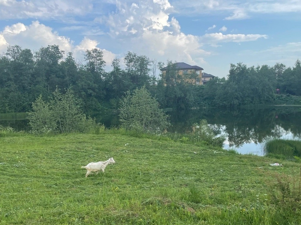 Пижамы Женские Домашние для Худых