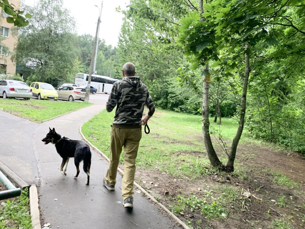 В Балашихе обустраивают пешеходные дорожки на улицах Агрогородок и  Новослободская | REGIONS.RU / Балашиха