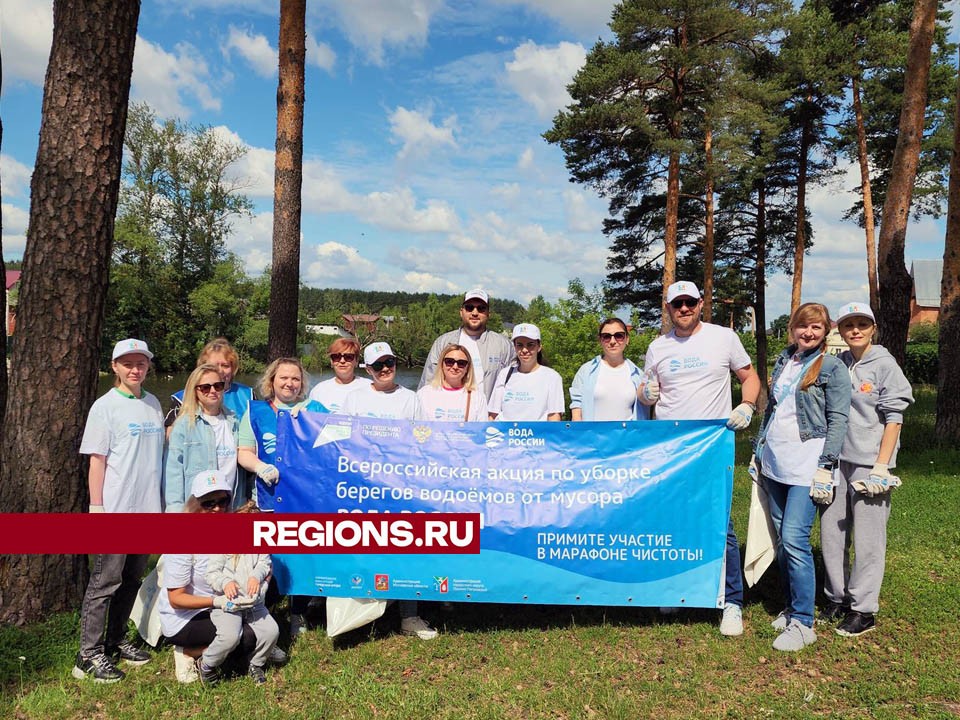 В Лосино-Петровском расчистили берега карьера на улице Кирова | REGIONS ...