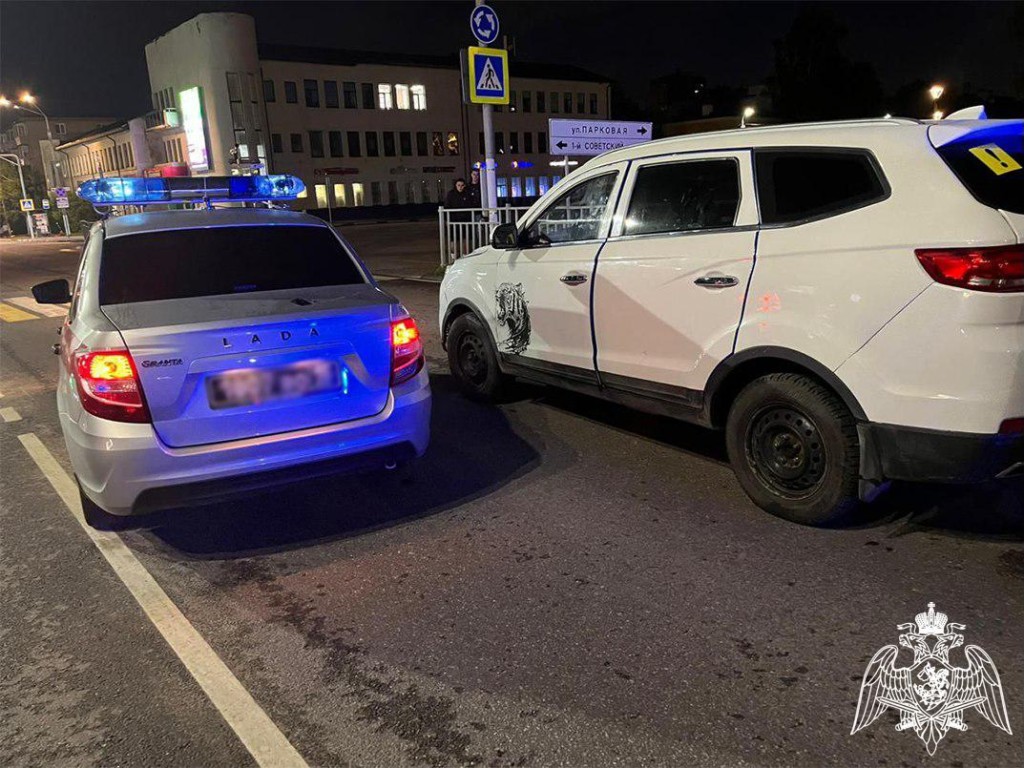 Щелковские сотрудники Росгвардии задержали нетрезвого водителя и  предотвратили возможную аварию | REGIONS.RU / Щелково