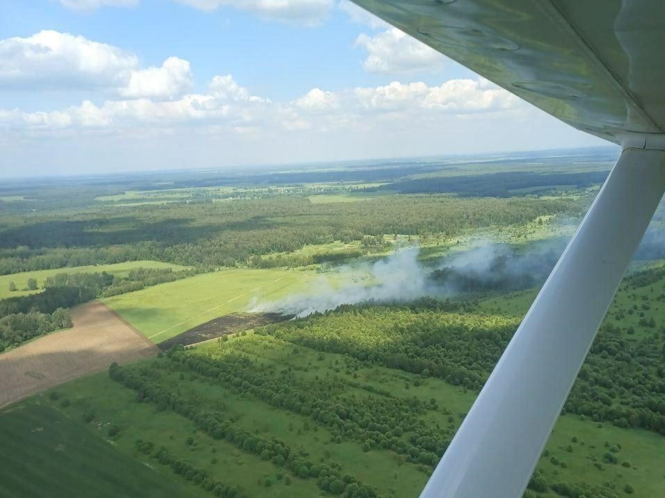 Высокий класс пожарной опасности спрогнозировали в Подмосковье в выходные
