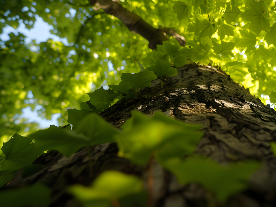 Лыткарино ожидает двухдневное похолодание