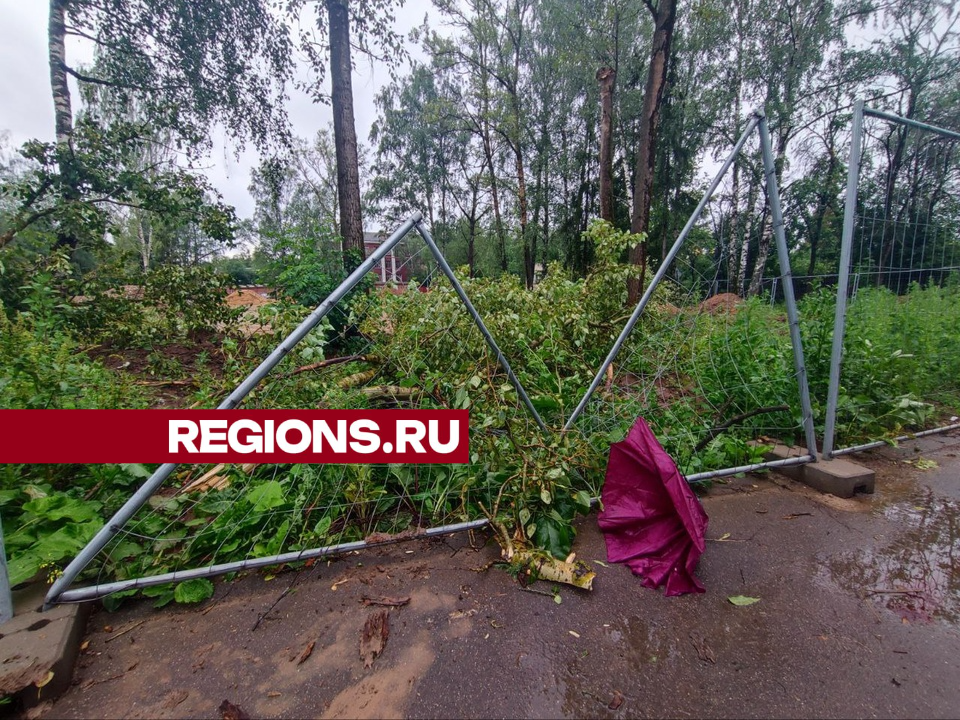 Поход за ягодами во время шторма закончился для пенсионерки реанимацией