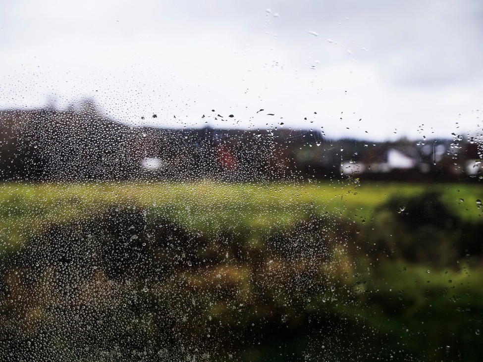 Дожди вернутся в Лотошино на рабочей неделе