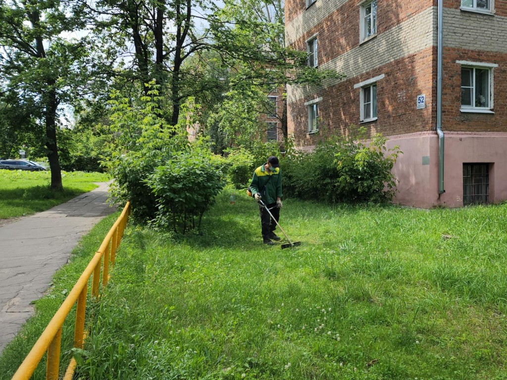 В микрорайоне Белая Дача управляющая компания провела покос травы по  просьбам жителей Котельников | REGIONS.RU / Котельники