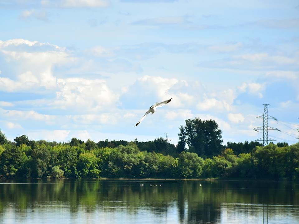 Водолазы нашли утонувшего после прыжка с дамбы мужчину