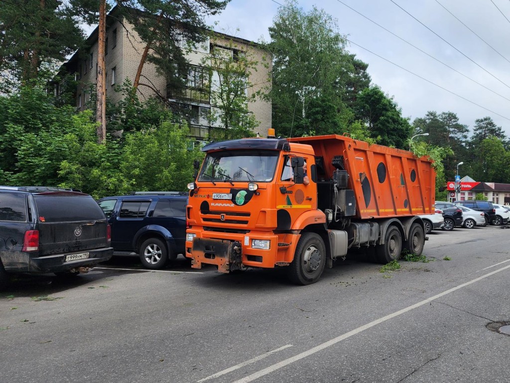 В наукограде продолжается опиловка деревьев | REGIONS.RU / Жуковский