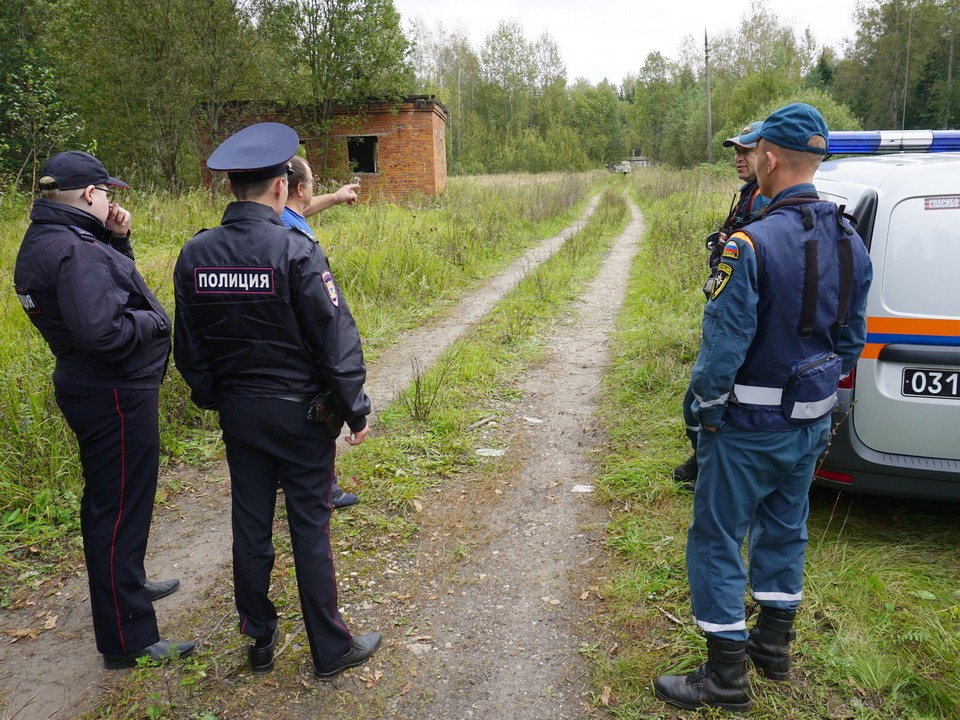 Второй ребенок исчез с дачи в окрестностях Богородского округа за неделю