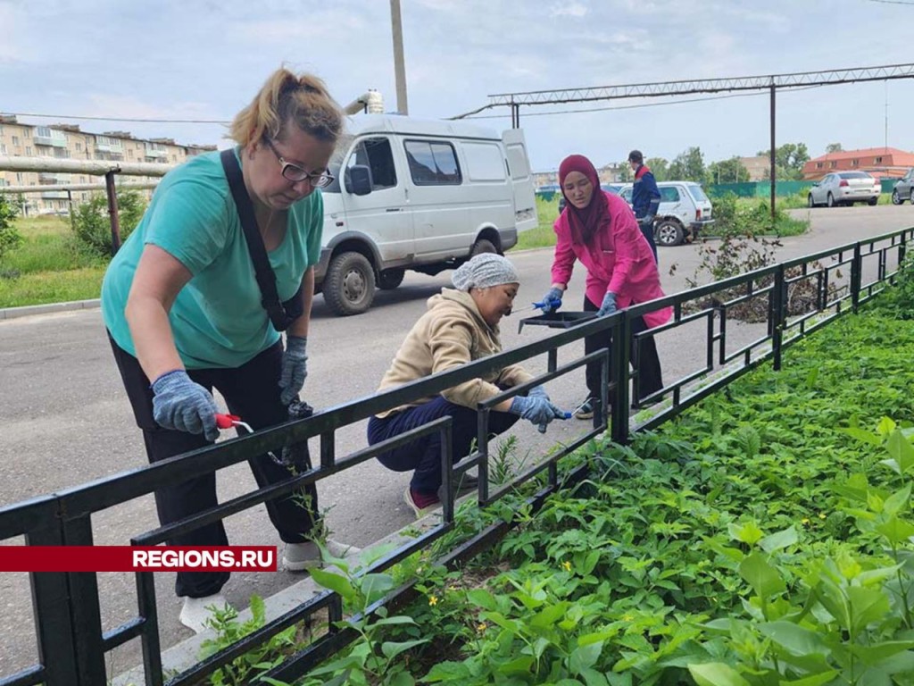 Покраску ограждений и входных групп обновили во дворе на улице Спортивной в  Рошале | REGIONS.RU / Шатура