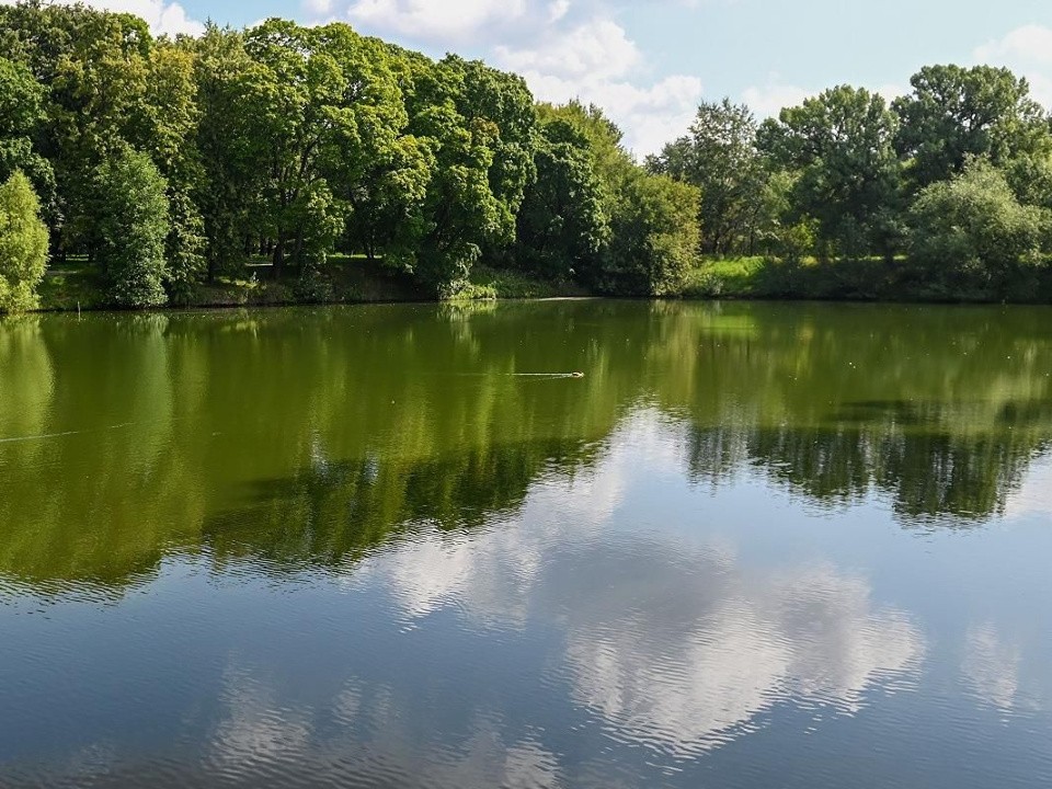 В Москве приведут в порядок Верхний Салтыковский пруд