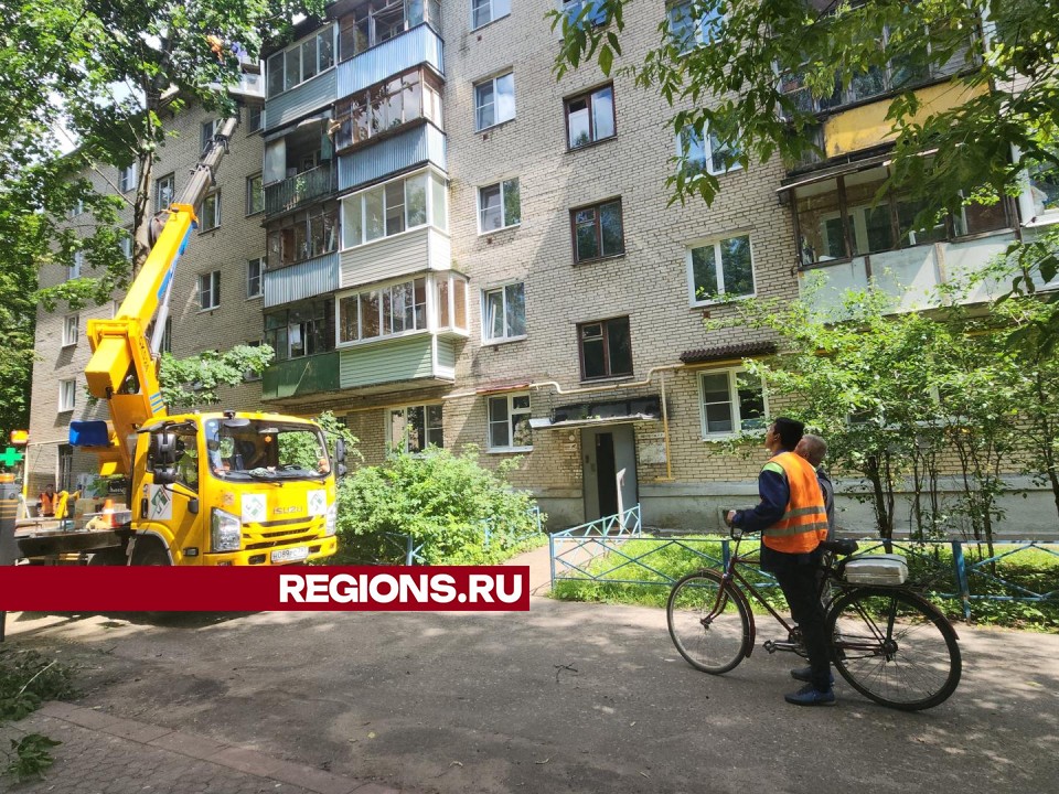 Опиловку деревьев провели во дворах на Первомайской улице в Пушкино