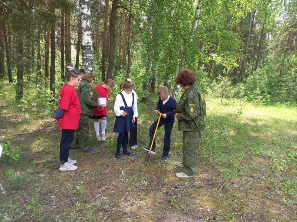 Юные егорьевские лесоводы высадили сеянцы сосны