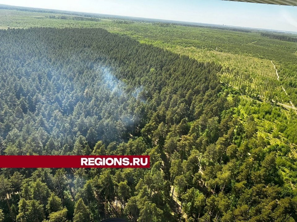 Пожарная обстановка в луховицких лесах накаляется