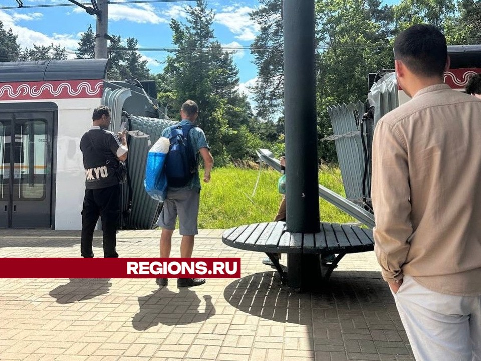 Электричку «Иволга» разорвало на МЦД-3 на пути из Раменского в Москву