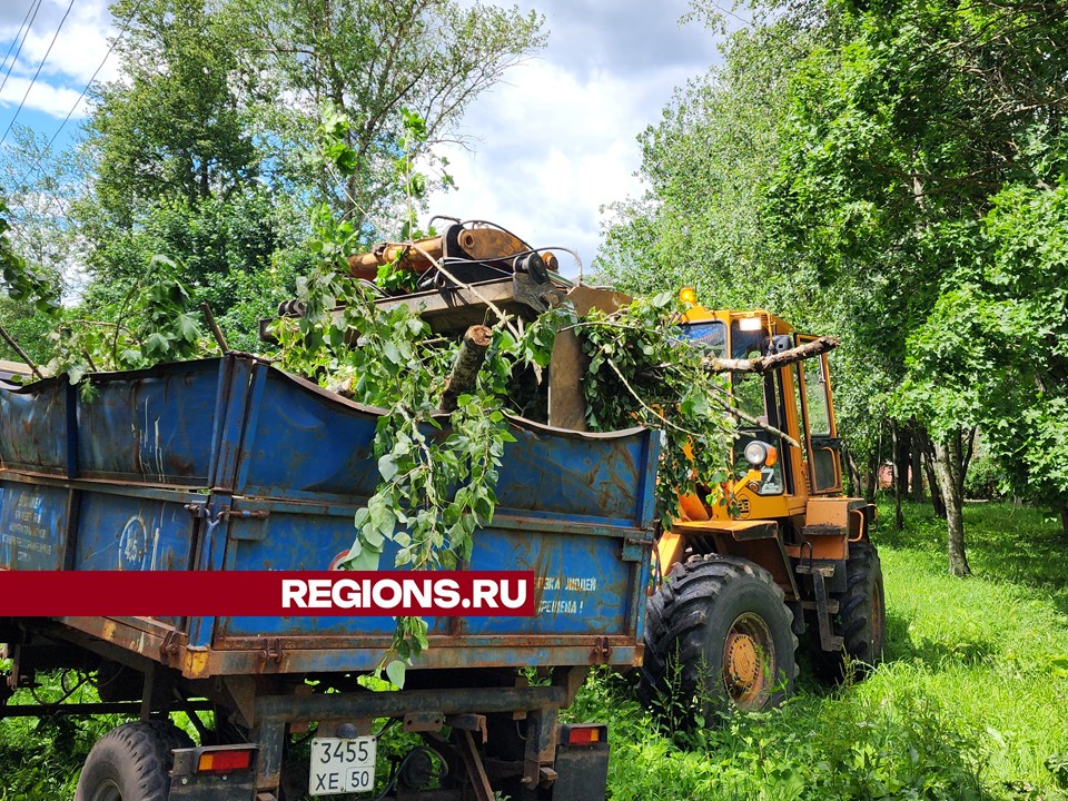 Десять самосвалов порубочных остатков вывезли после урагана с улиц Красноармейска