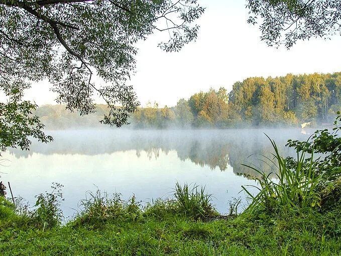 Пять водоемов под Большим Серпуховом очистят до конца октября